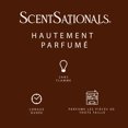 thumbnail image 5 of ScentSationals Scented Wax Cubes - Cinnamon, 5 of 5