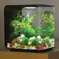 thumbnail image 3 of Assorted Stone Flower Pot Fish Tank Decoration Colorful Stone Plant Flower Pot Decorative Stone Succulent Paving Stone, 3 of 6