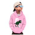 thumbnail image 1 of WEAIXIMIUNG Chandails en Molleton Garçons Col Rond Camion Chemise Dinosaure Manches Longues Chandail Tops Tees, 1 of 6