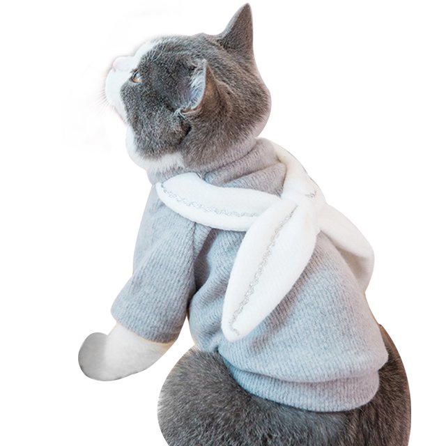Chandail pour Chat Mode Chaud Vêtements pour Animaux Vêtements pour Chat Costume pour Animaux Chatons