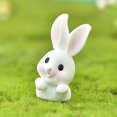 thumbnail image 1 of RXIRUCGD Small Animal Cute Rabbit Gardening Succulents Resin Decorative Ornaments, 1 of 3