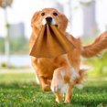 thumbnail image 4 of High Toughness Leather Training Rag for Large Dogs - Interactive Tug of War Game to Enhance Puppy Prey Drive and Grip, 4 of 4