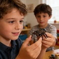 thumbnail image 2 of ICQOVD Modèle Réaliste d'Insecte Ensemble de Soulagement du Stress, 2 of 8