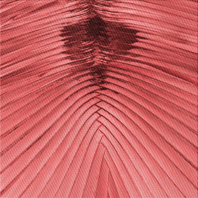 Ahgly Company Tapis d'Intérieur Lavables à la Machine, Carrés, Transitionnels, Rouges, 5 Pieds Carrés