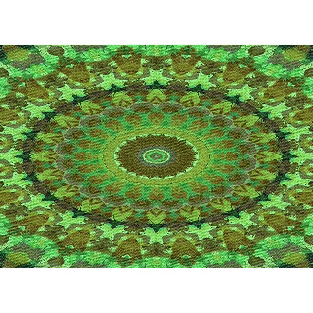 Ahgly Tapis Rectangulaire Lavable en Machine Intérieur Transitionnel Vert Armée, 7 Pieds x 10 Pieds