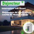 thumbnail image 3 of WiFi Circuit Breaker Switch - Smart WiFi DIN Rail Energy Meter Relay Type Circuit Breaker Connected Switch with Wattmeter Smart Life Tuya WiFi Remote Switch, 16A, 3 of 5