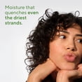 thumbnail image 4 of Native Moisturizing Conditioner Pine & Mountian Air 487mL, 4 of 23