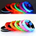 thumbnail image 3 of HEVIRGO Collier de Sécurité pour Chiot Chien Chat avec Lumière LED Clignotante Réglable, 3 of 11