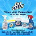 thumbnail image 4 of Poudre détachante à lessive OxiClean White Revive, 4 of 8