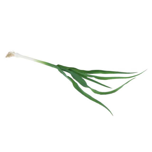 veasfak Vegetable Food Green Garlic Shallot Decorative Display Example Kids Pretend Play Garlic 40cm
