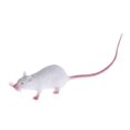 thumbnail image 4 of 1 Pce Figurines Modèle Mouse Rats en Plastique pour Enfants Farces et Attrapes Jouet, 4 of 8