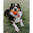 thumbnail image 5 of Chuckit ! Grand jouet pour chien avec balle à rapporter, 5 of 5