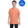 thumbnail image 1 of Hanes Youth Authentic-T T-Shirt - 54500 (Pack Of 3), 1 of 1
