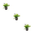 thumbnail image 2 of Decodeary Green Eco-friendly Artificial Money Tree In Pot Long-lasting Durability Realistic Appearance purple babysbreath 3Set, 2 of 6
