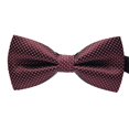 thumbnail image 1 of Baohd Men Colorful Pattern Formal Necktie Adult Male Business Meeting Wedding Polyester Yarn Bowtie, 1 of 9