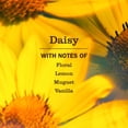 thumbnail image 4 of Mrs. Meyer's Clean Day - Multi-Surface Cleaner - Daisy, 4 of 6