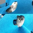 thumbnail image 3 of tredstone Comfortable And Soft Play Mat For Beloved Pet Cat Durable And Long-lasting Circular gray 100cm*100cm, 3 of 6