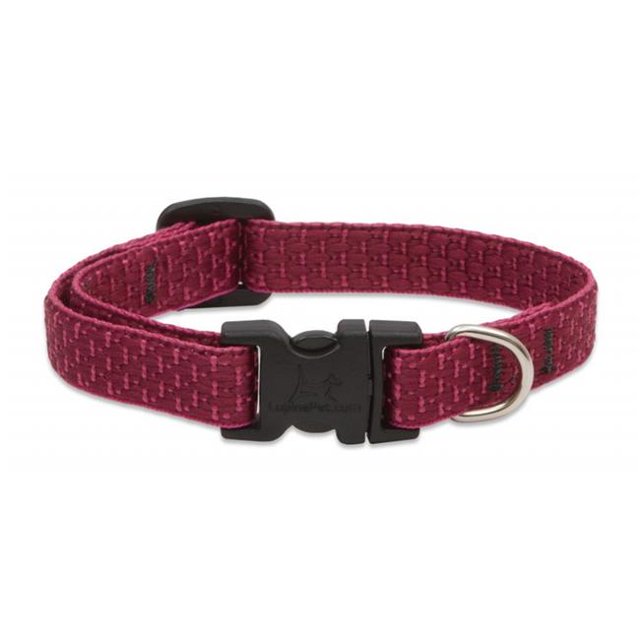 Collier pour Chien Éco, Réglable, Baie, 1/2 x 10 à 16 Pouces 36935