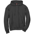 thumbnail image 2 of Hanes Chandail à Capuchon en Molleton ComfortBlend EcoSmart pour Hommes, P, 2 of 4
