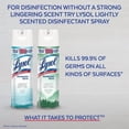 thumbnail image 2 of Lysol Disinfectant Spray, Early Morning Breeze, 350g, Disinfect and Eliminate Odours on Hard Surfaces & Fabrics, 350 g, 2 of 5