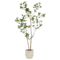 thumbnail image 1 of Bouclair White Japanese Pieris Tree, 1 of 8