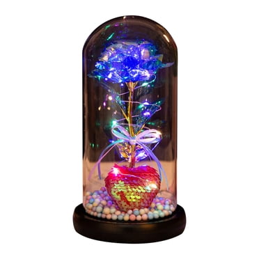 EGNMCR Room Decor, Home Decor, Christmas Roses For Women Gifts For Women Christmas Flowers For Women's Birthday Gifts Christmas Gifts For Women, Colored Roses In The Glass Dome Gifts Decorative Rose