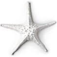thumbnail image 1 of Abbott Collection 3D Étoile de Mer 20-SEASHORE/25 WHT, Blanc (Grand), 1 of 7