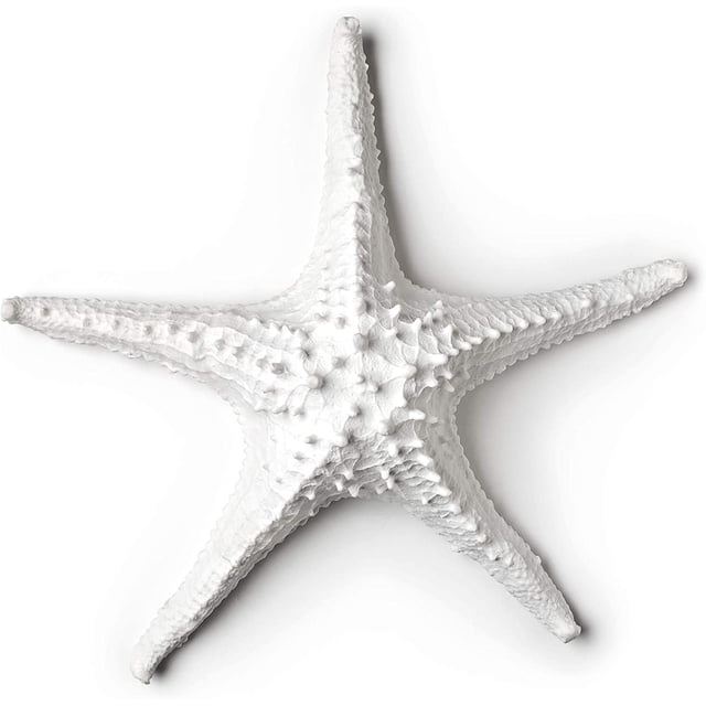 Abbott Collection 3D Étoile de Mer 20-SEASHORE/25 WHT, Blanc (Grand)
