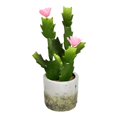 thumbnail image 1 of Vickerman FH192401 11 in. Green Potted Cactus Plastic Planter Pot, 1 of 3