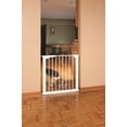 thumbnail image 2 of Command Pressure Gate, 2 of 7