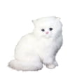 thumbnail image 1 of Mikilon Simulation Cat Toys Plush Toys Simulation Animal Models Children's Gifts, 1 of 6