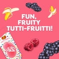 thumbnail image 3 of Désodorisant 3D Jelly Belly - Tutti Fruitti, 3 of 5