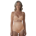 thumbnail image 2 of Kathryn Light Tummy Control Microfiber Brief 2-Pack (Style 751) by Teri Lingerie, 2 of 5