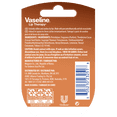 thumbnail image 4 of Vaseline Lip Therapy Beurre de Cacao 7g, 4 of 4