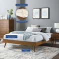 thumbnail image 4 of Modway Margo King MDF Wood and Rubberwood Platform Bed Frame in Walnut, 4 of 8