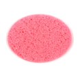 thumbnail image 4 of Mousse Rapide Visage Éponge 10pcs Réutilisable Visage Éponge Kit Ronde Absorbant Naturel Démaquillage Exfoliant Spa Visage Nettoyage Éponge de Cellulose, 4 of 8