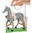 thumbnail image 3 of Barbie Barbie World Coffret de jeu Champion de saut d’obstacles - Exclusivité Walmart, 3 of 6