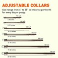 thumbnail image 2 of Dogline L1001-61 Collier Rond en Cuir 8-10 L x 0,25 Po L, Brun Foncé, 2 of 6