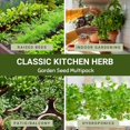 thumbnail image 3 of GSDWIUEW Classic Kitchen Herb Kit, 5 Heirloom Seed Varieties, Basil, Cilantro, Dill, Parsley, Thyme, for Containers, Windowsills Indoor and Outdoor Planting Three Mo Garden, 3 of 8