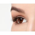 thumbnail image 2 of Ardell® Fashion Lashes #120 Demi Noir, 2 of 5