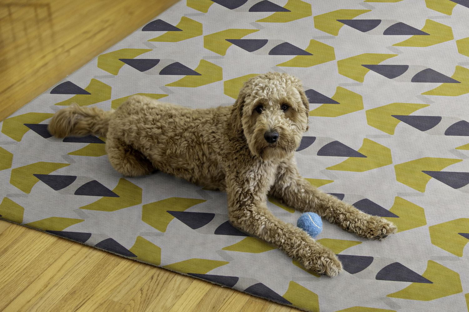 Tapis d'extérieur lavable Hialeah ivoire & jaune 7 pi x 9 pi