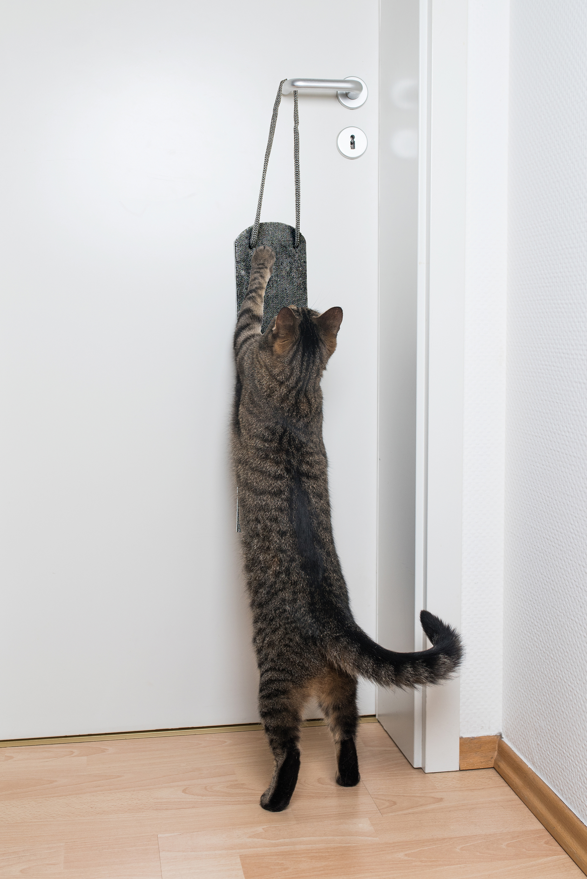 Tapis à griffer Omega Paw pour chats, s'accroche à n'importe quelle poignée de porte.