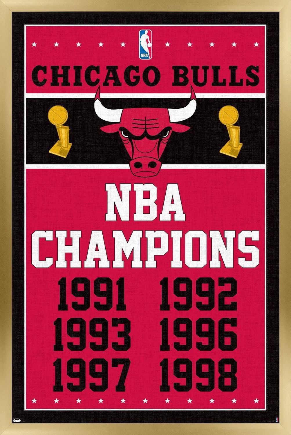 NBA Chicago Bulls - Champions 13 Wall Poster, 14.725" x 22.375" Framed