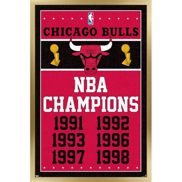NBA Chicago Bulls - Champions 13 Wall Poster, 22.375" x 34" Framed