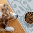 thumbnail image 1 of SussexHome Pets Ultra-Thin Cat and Dog Litter Mat for Litter Box - Washable Soft Natural Cotton Cat and Dog Litter Trapping Mat - Paws-Kind Slip Resistant Litter Catching Mat, 1 of 6