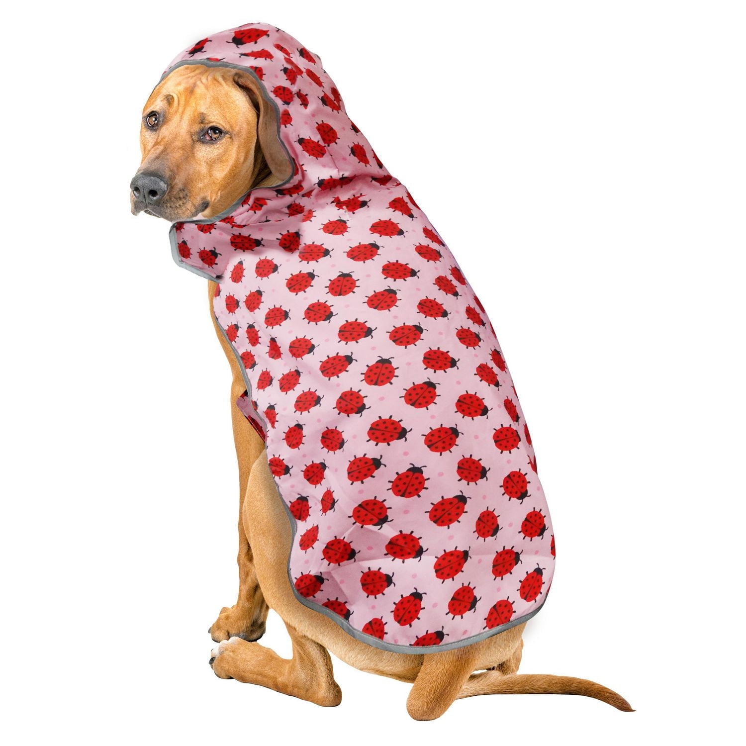 Fetchwear Dog Clothes: Ladybug Raincoat, Size XS-XL
