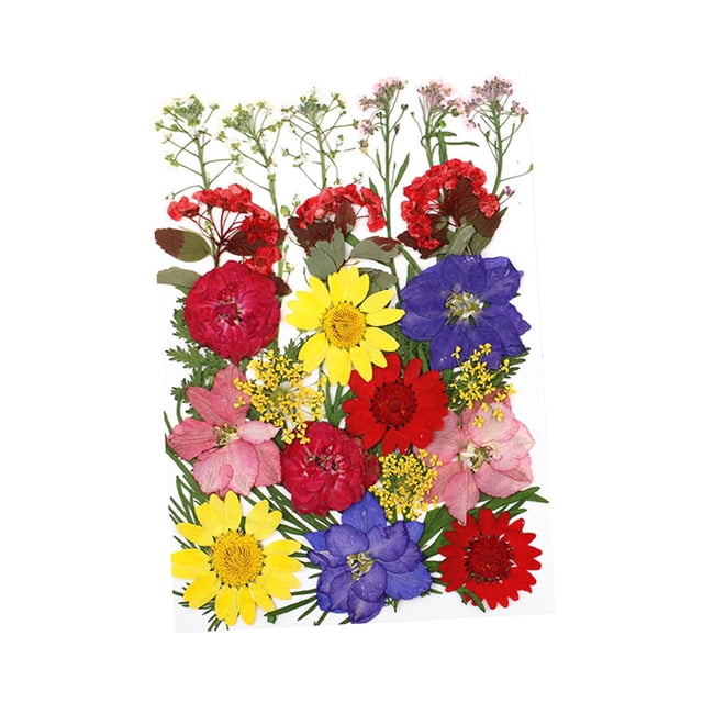 simhoa 30 Pieces Real Dried Pressed Flowers, Dry Leaves Bulk Natural Kit for Crafts, Multi