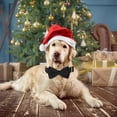thumbnail image 4 of HLONK Durable Polyamide Adjustable Velvet Dog Collar - with Bowtie and Metal Buckle - Cute Solid Pattern for Small  Medium  and Large Dogs  Ideal Gift for Puppies, 4 of 7