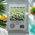 thumbnail image 1 of Cire de Soya Végane Lily of The Valley, Coulée à la Main, Fondants de Cire Florale Écologiques, Lot de 4, 1 of 5