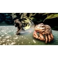 thumbnail image 4 of Jeu vidéo Skull Island: Rise of Kong pour (Nintendo Switch), 4 of 9